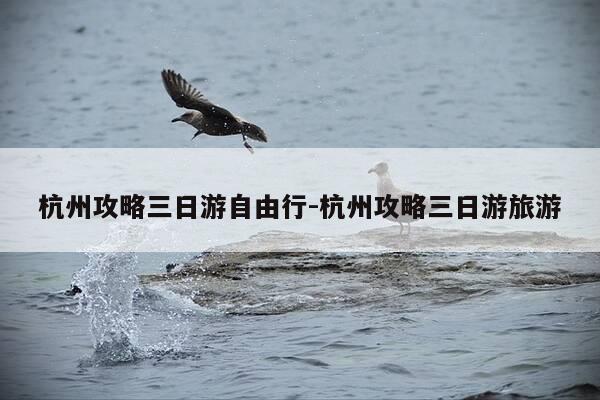 杭州攻略三日游自由行-杭州攻略三日游旅游-第1张图片-优惠活动网 杭州攻略三日游自由行-杭州攻略三日游旅游-第1张图片-优惠活动网