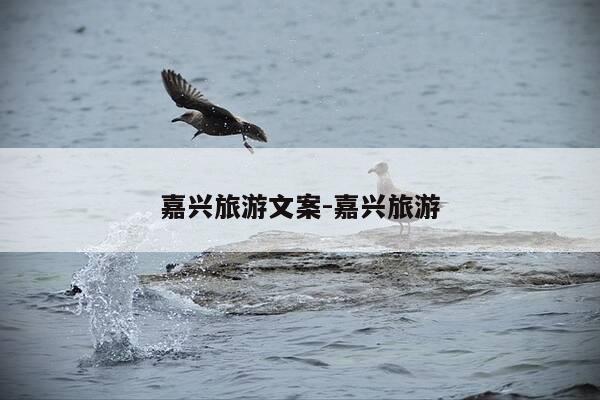 嘉兴旅游文案-嘉兴旅游-第1张图片-优惠活动网 嘉兴旅游文案-嘉兴旅游-第1张图片-优惠活动网