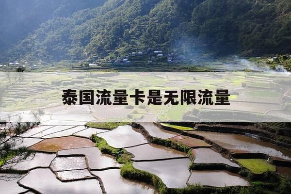 泰国流量卡是无限流量-去泰国流量包和流量卡-第1张图片-优惠活动网