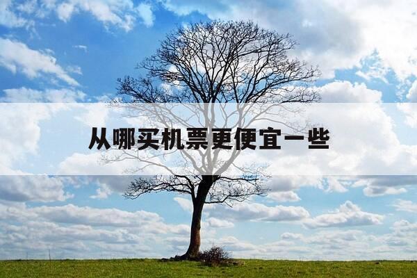 从哪买机票更便宜一些-从哪买机票更便宜一些呢-第1张图片-优惠活动网