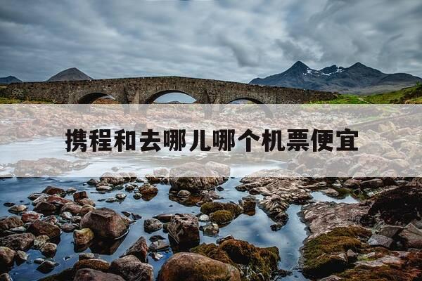 携程和去哪儿哪个机票便宜-携程和去哪儿旅行哪一个更好用一些-第1张图片-优惠活动网