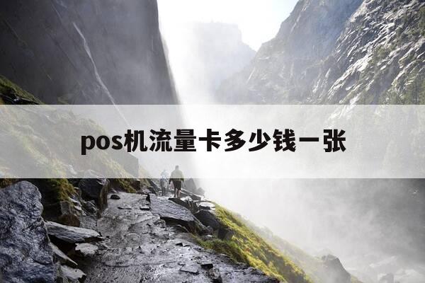 pos机流量卡多少钱一张-pos机流量卡啥意思-第1张图片-优惠活动网