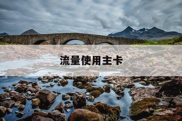 流量使用主卡-主卡的流量可以转给副卡吗-第1张图片-优惠活动网