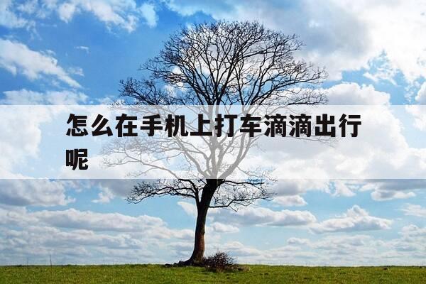 怎么在手机上打车滴滴出行呢-在手机上打滴滴怎么打-第1张图片-优惠活动网