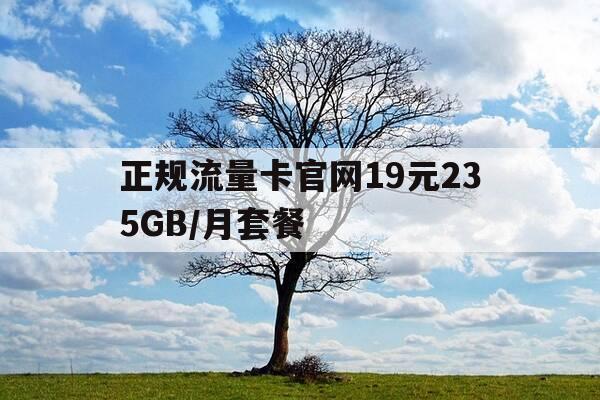 正规流量卡官网19元235GB/月套餐-流量卡最新-第1张图片-优惠活动网