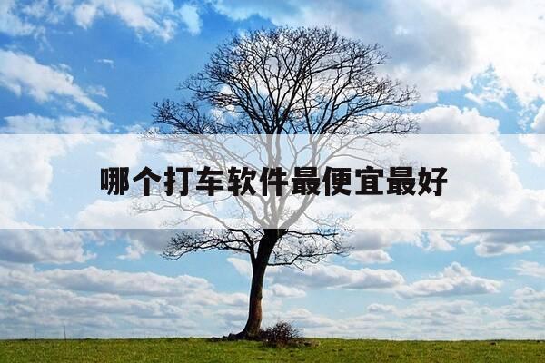 哪个打车软件最便宜最好-哪一款打车软件便宜-第1张图片-优惠活动网