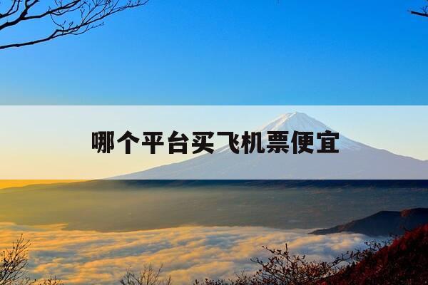 哪个平台买飞机票便宜-购飞机票哪个平台便宜又安全-第1张图片-优惠活动网