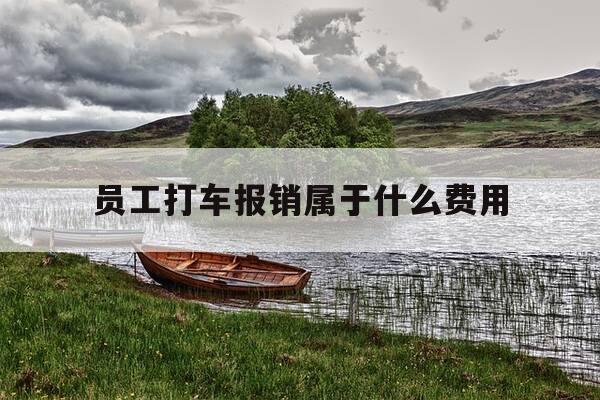 员工打车报销属于什么费用-员工打车报销属于什么费用类别-第1张图片-优惠活动网