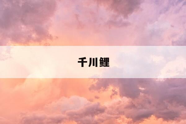 千川鲤-千川鲤4代-第1张图片-优惠活动网