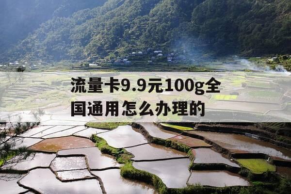 流量卡9.9元100g全国通用怎么办理的--第1张图片-优惠活动网 流量卡9.9元100g全国通用怎么办理的--第1张图片-优惠活动网