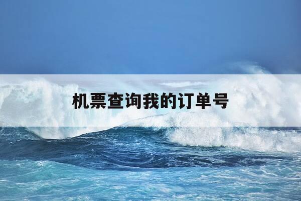 机票查询我的订单号-机票订单号能查到什么-第1张图片-优惠活动网