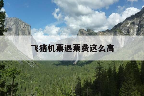 飞猪机票退票费这么高-飞猪购买机票退票-第1张图片-优惠活动网 飞猪机票退票费这么高-飞猪购买机票退票-第1张图片-优惠活动网