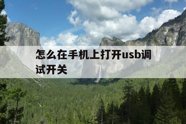 怎么在手机上打开usb调试开关-如何在手机上打开usb调试开关-第1张图片-优惠活动网 怎么在手机上打开usb调试开关-如何在手机上打开usb调试开关-第1张图片-优惠活动网
