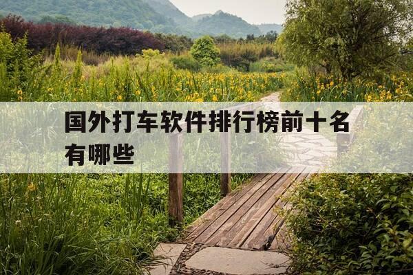 国外打车软件排行榜前十名有哪些-国外打车软件叫什么-第1张图片-优惠活动网 国外打车软件排行榜前十名有哪些-国外打车软件叫什么-第1张图片-优惠活动网