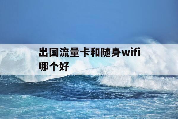 出国流量卡和随身wifi哪个好-出国流量卡怎么用-第1张图片-优惠活动网
