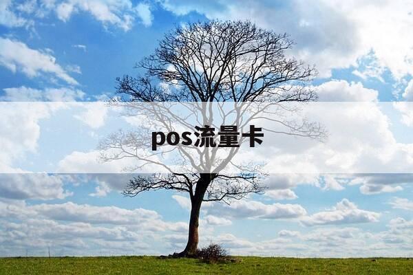 pos流量卡-pos流量卡没有流量了怎么办-第1张图片-优惠活动网