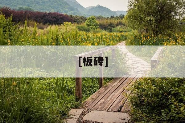 [板砖]-搬砖游戏-第1张图片-优惠活动网