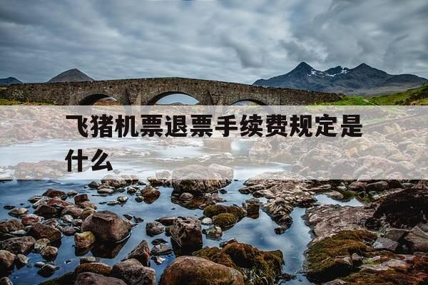 飞猪机票退票手续费规定是什么-飞猪机票退票规则-第1张图片-优惠活动网