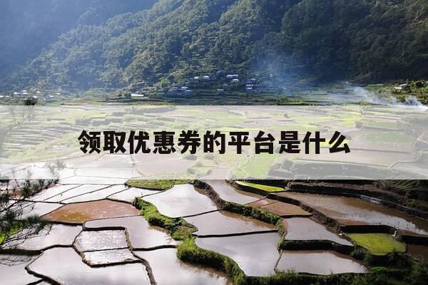 领取优惠券的平台是什么-领优惠卷平台-第1张图片-优惠活动网 领取优惠券的平台是什么-领优惠卷平台-第1张图片-优惠活动网