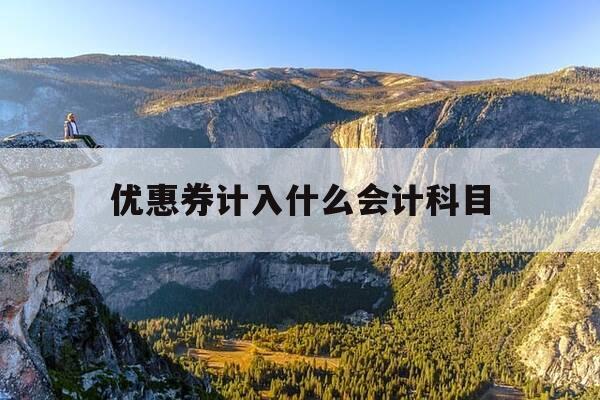 优惠券计入什么会计科目-优惠券会计分录怎么做-第1张图片-优惠活动网