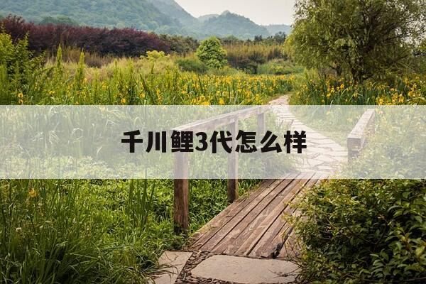 千川鲤3代怎么样-千川鲤3代可以钓大鱼吗-第1张图片-优惠活动网