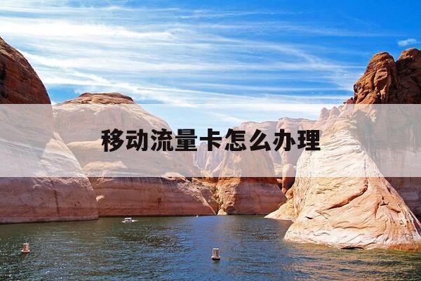 移动流量卡怎么办理-移动流量卡怎么办理在哪里办-第1张图片-优惠活动网 移动流量卡怎么办理-移动流量卡怎么办理在哪里办-第1张图片-优惠活动网