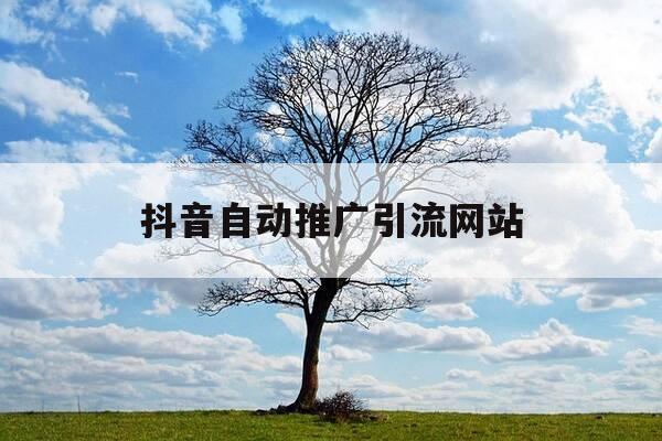 抖音自动推广引流网站-抖音自然流量推广-第1张图片-优惠活动网