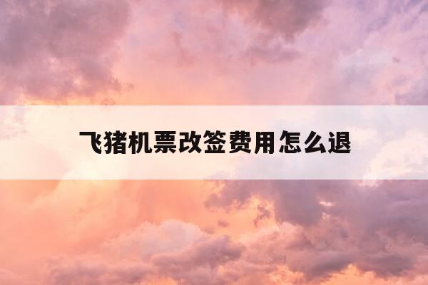 飞猪机票改签费用怎么退-飞猪机票改签需要手续费吗-第1张图片-优惠活动网