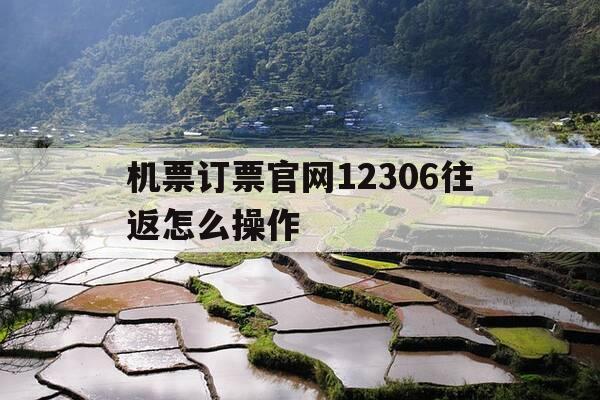 机票订票官网12306往返怎么操作-飞机票往返机票怎么预订-第1张图片-优惠活动网