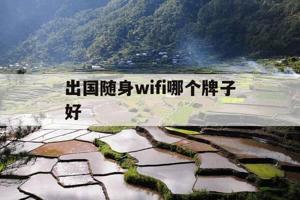 出国随身wifi哪个牌子好-出国随身wifi哪个牌子好用-第1张图片-优惠活动网