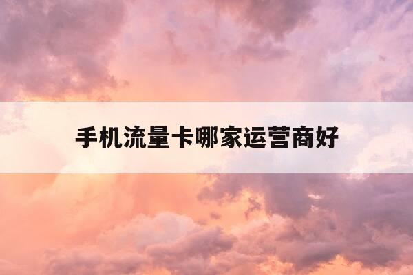 手机流量卡哪家运营商好-买手机流量卡哪个运营商比较好-第1张图片-优惠活动网