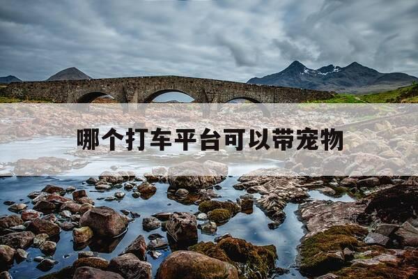 哪个打车平台可以带宠物-哪个打车平台可以带宠物进去-第1张图片-优惠活动网 哪个打车平台可以带宠物-哪个打车平台可以带宠物进去-第1张图片-优惠活动网