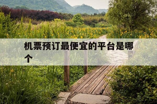 机票预订最便宜的平台是哪个-机票预订哪里便宜-第1张图片-优惠活动网