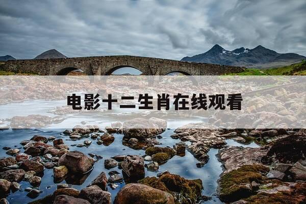 电影十二生肖在线观看-十二生肖电影国语完整版免费-第1张图片-优惠活动网