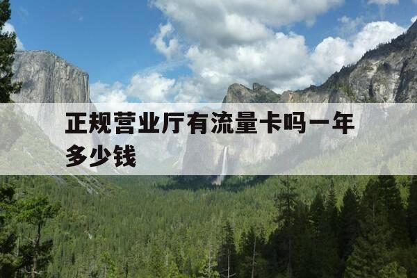正规营业厅有流量卡吗一年多少钱-营业厅有流量卡办理吗-第1张图片-优惠活动网