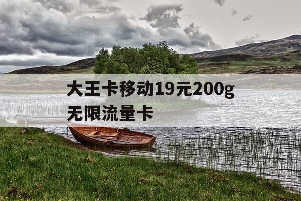 大王卡移动19元200g无限流量卡-纯流量卡在哪才能买上正规的-第1张图片-优惠活动网 大王卡移动19元200g无限流量卡-纯流量卡在哪才能买上正规的-第1张图片-优惠活动网