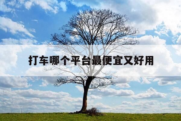 打车哪个平台最便宜又好用-打车哪个平台的车比较好-第1张图片-优惠活动网