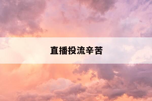 直播投流辛苦-直播投流计划-第1张图片-优惠活动网