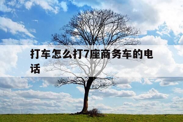 打车怎么打7座商务车的电话-打车怎样打七座的-第1张图片-优惠活动网