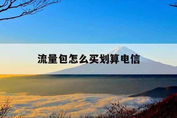 流量包怎么买划算电信-怎样买流量划算电信-第1张图片-优惠活动网