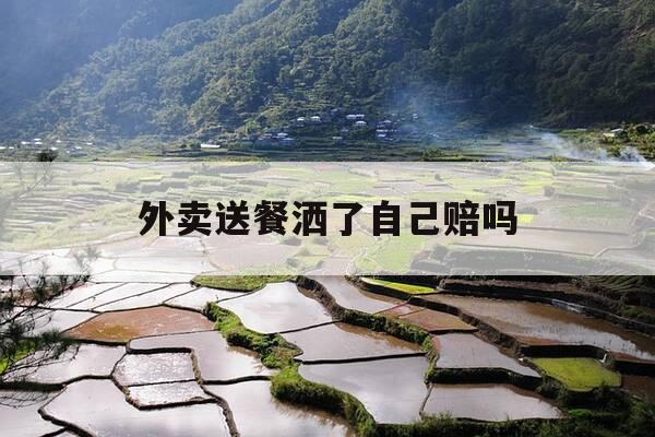 外卖送餐洒了自己赔吗-送外卖餐洒了怎么办-第1张图片-优惠活动网