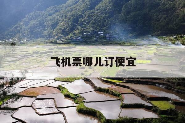 飞机票哪儿订便宜-飞机票哪买便宜-第1张图片-优惠活动网