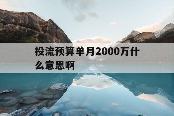 投流预算单月2000万什么意思啊-投流方案-第1张图片-优惠活动网 投流预算单月2000万什么意思啊-投流方案-第1张图片-优惠活动网