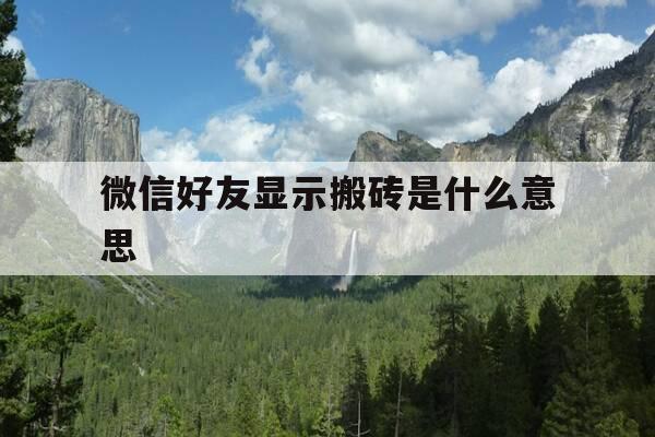 微信好友显示搬砖是什么意思-微信上显示在搬砖是什么意思-第1张图片-优惠活动网
