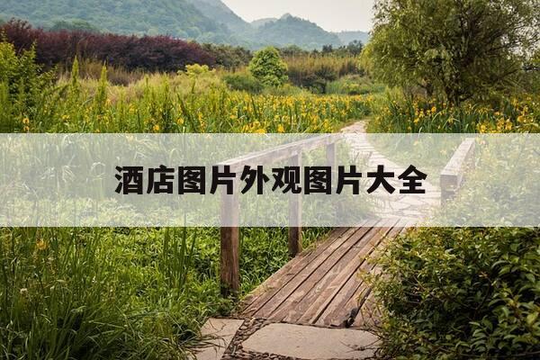 酒店图片外观图片大全-酒店图片 高清图-第1张图片-优惠活动网