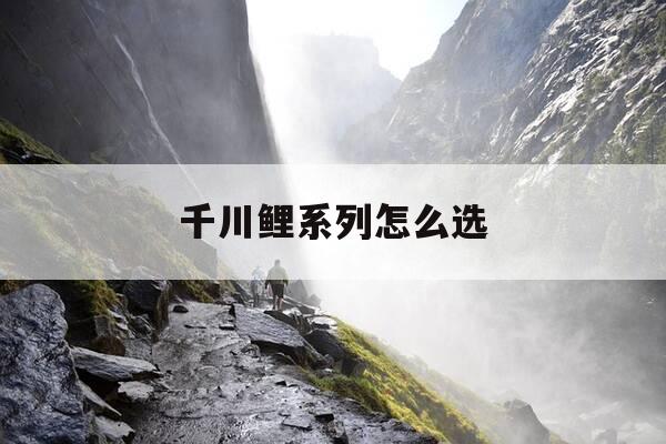 千川鲤系列怎么选-千川鲤5h28-第1张图片-优惠活动网