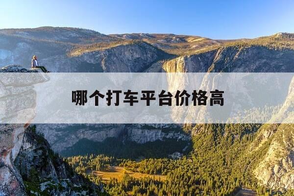 哪个打车平台价格高-哪个打车平台价格高点-第1张图片-优惠活动网