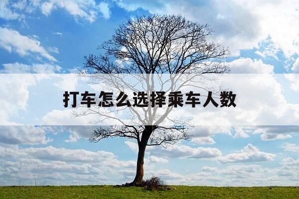 打车怎么选择乘车人数-打车可以选择乘车人数吗-第1张图片-优惠活动网
