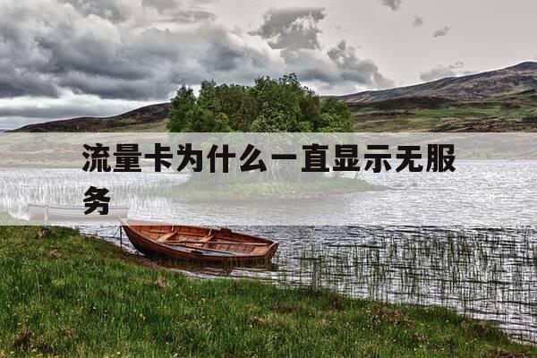 流量卡为什么一直显示无服务-流量卡老是显示无服务是怎么回事-第1张图片-优惠活动网