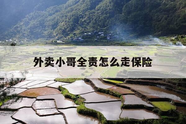 外卖小哥全责怎么走保险-外卖小哥全责怎么走保险之后需要赔钱吗-第1张图片-优惠活动网